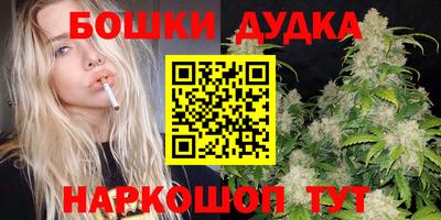 сатива Гай