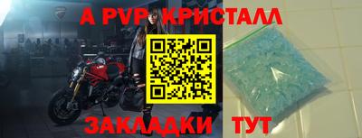 сатива Гай