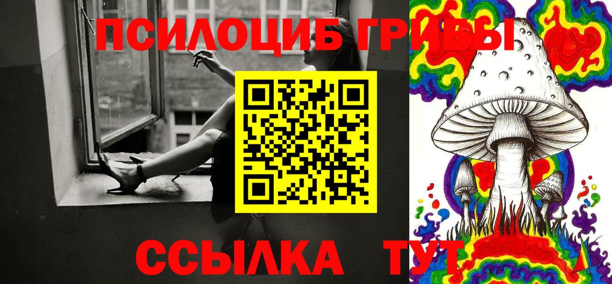 Галлюциногенные грибы Cubensis Королёв